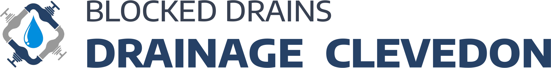 website logo